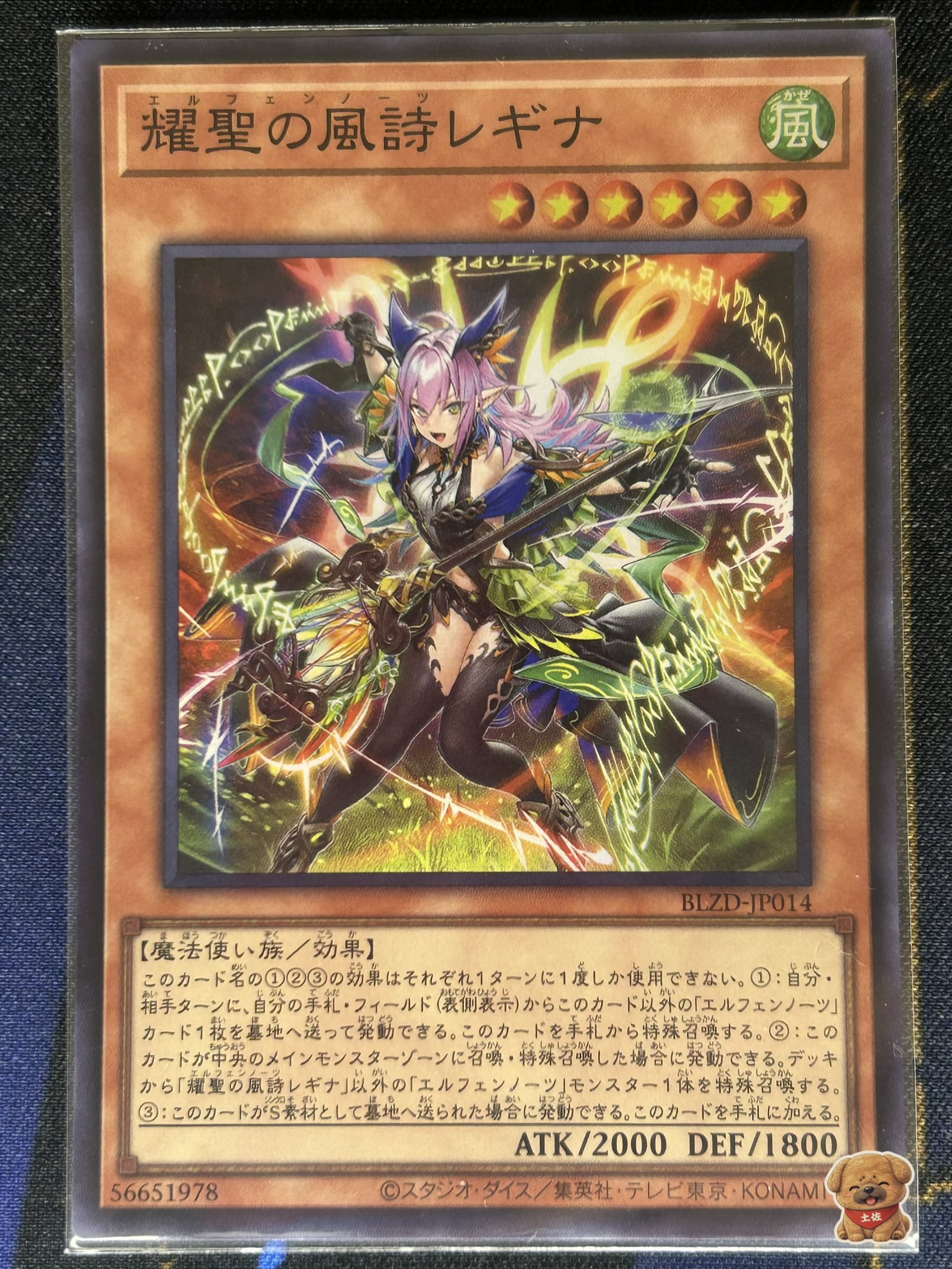 エルフェンノーツの展開札 耀聖の風詩レギナ 遊戯王環境ランキング解説