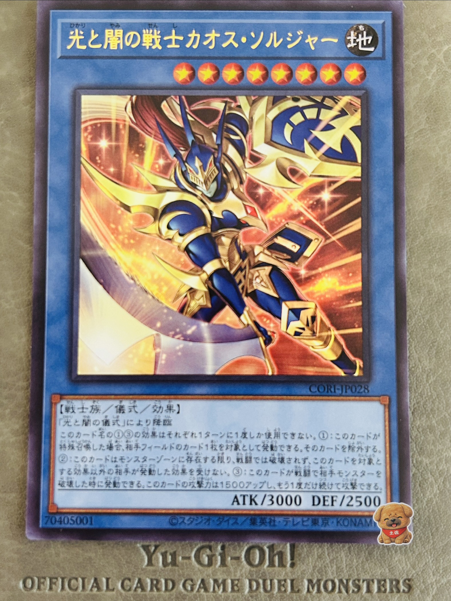 光と闇の戦士カオス・ソルジャー