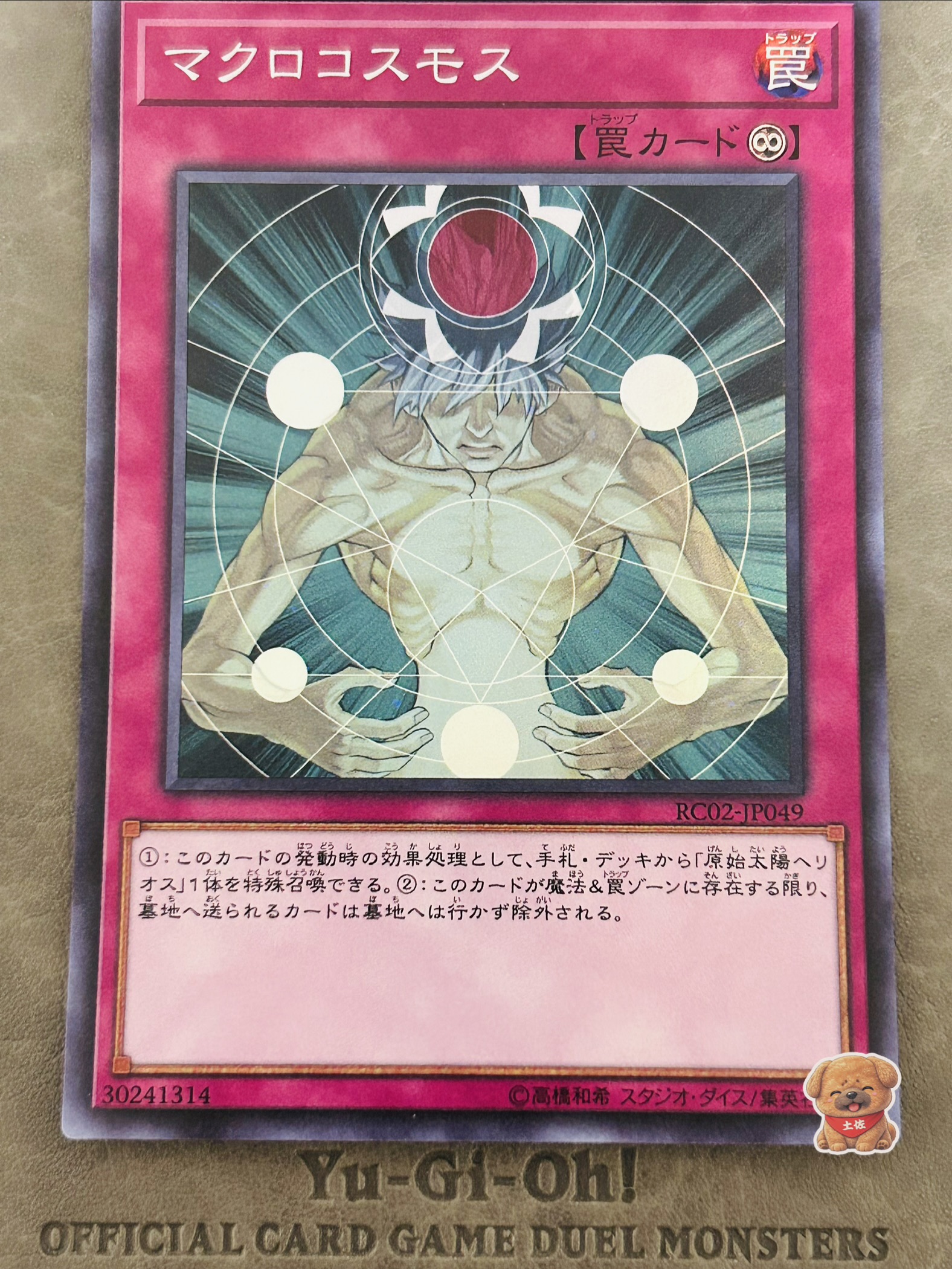 マクロコスモス