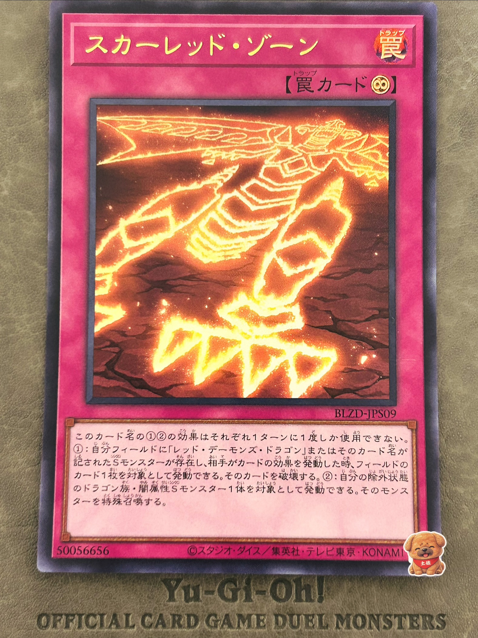 スカーレッド・ゾーン